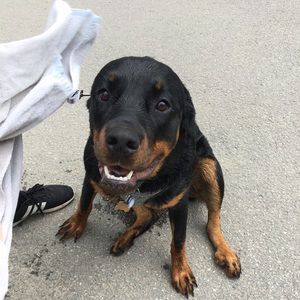 Meet your Posher, Megan